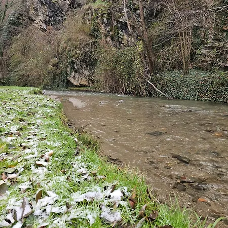 2 Rauri * Bratca